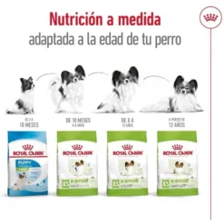 Royal Canin X-Small Adult pienso para perros