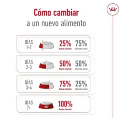 Royal Canin X-Small Adult pienso para perros