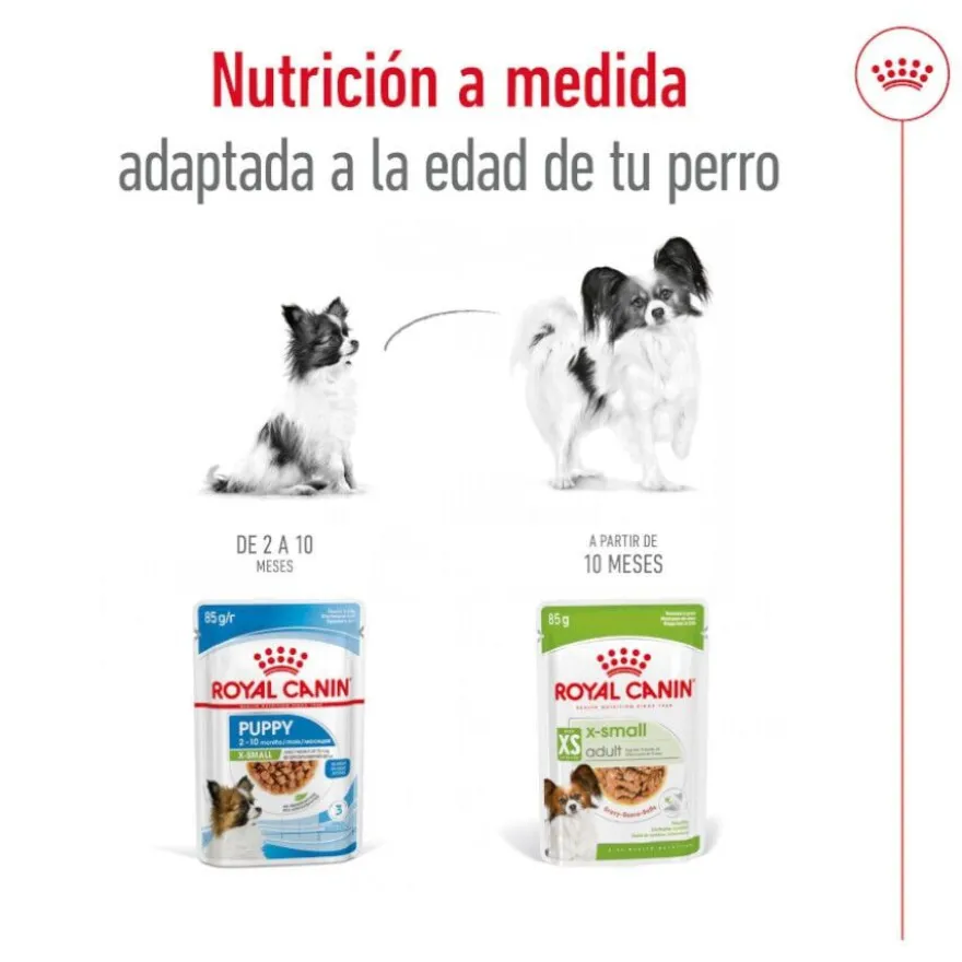 Royal Canin X-Small Adult sobres en salsa para perros