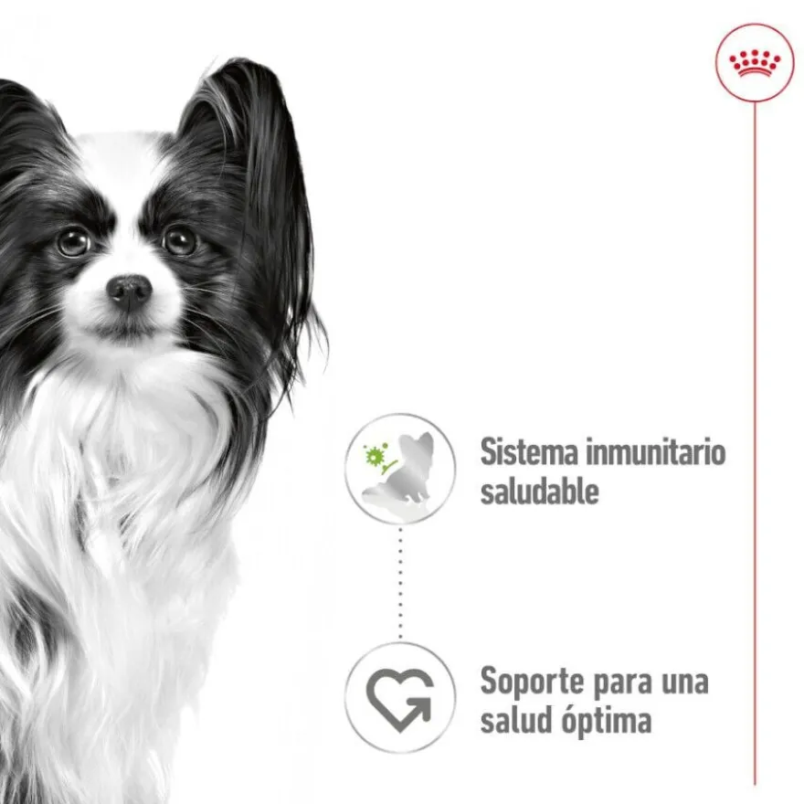 Royal Canin X-Small Adult sobres en salsa para perros