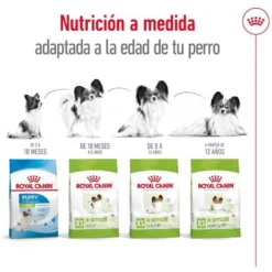 Royal Canin X-Small Ageing 12+ pienso para perros senior