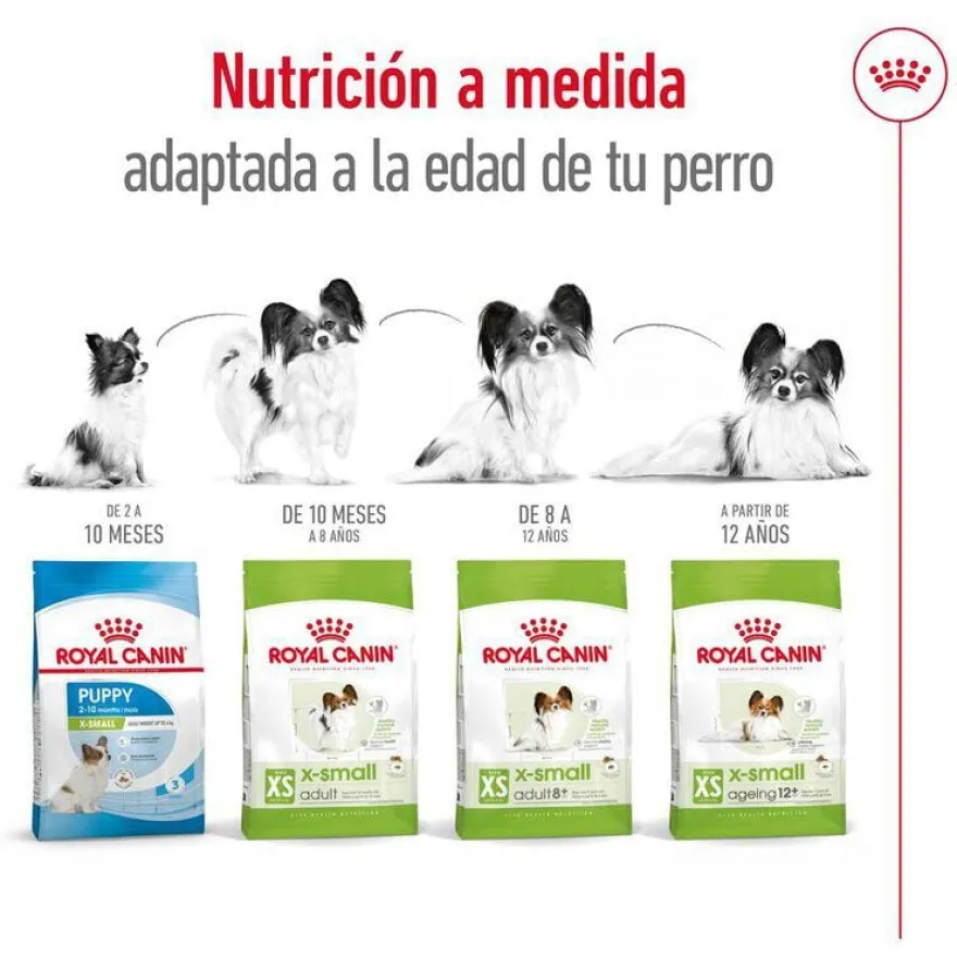 Royal Canin X-Small Ageing 12+ pienso para perros senior