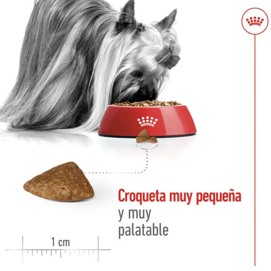 Royal Canin X-Small Ageing 12+ pienso para perros senior