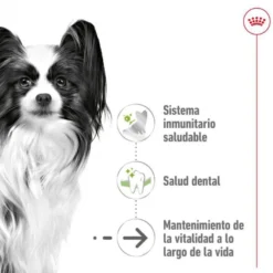 Royal Canin X-Small Ageing 12+ pienso para perros senior