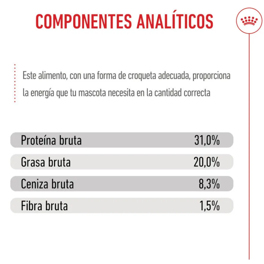 Royal Canin X-Small Puppy pienso para perros