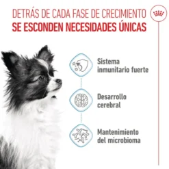 Royal Canin X-Small Puppy pienso para perros