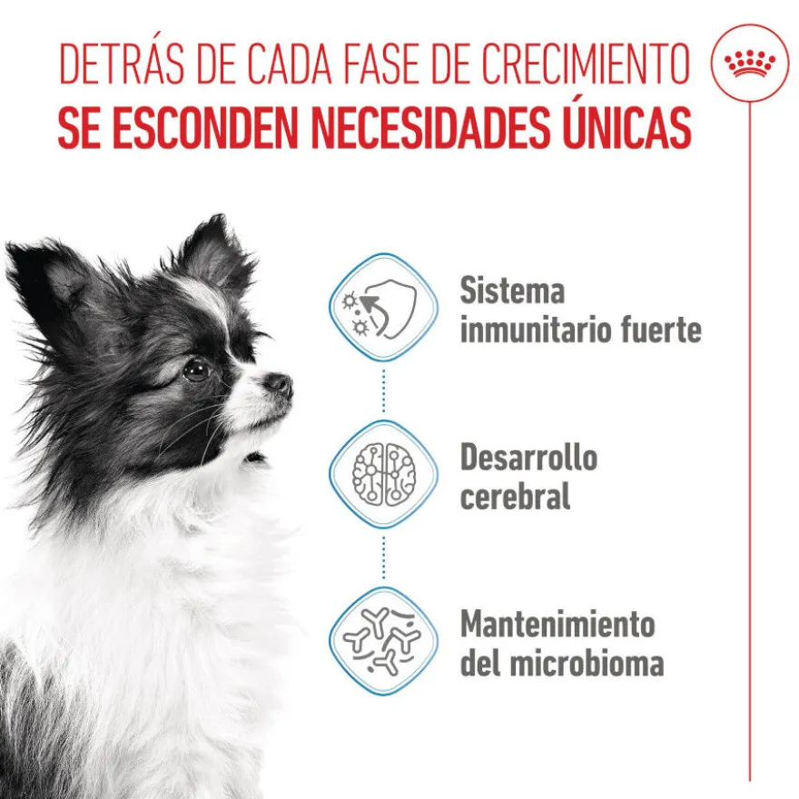 Royal Canin X-Small Puppy pienso para perros