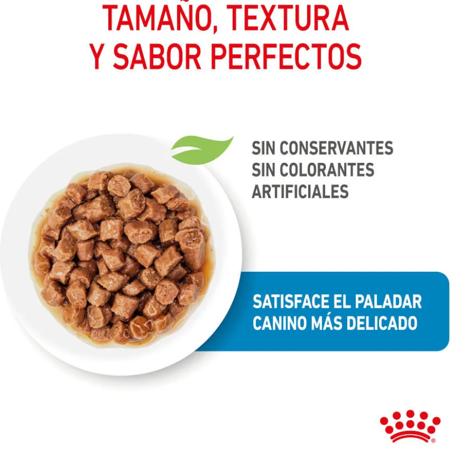 Royal Canin X-Small Puppy Trocitos en Salsa sobre para perros