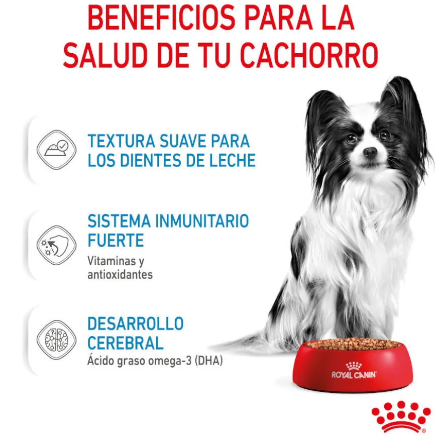 Royal Canin X-Small Puppy Trocitos en Salsa sobre para perros