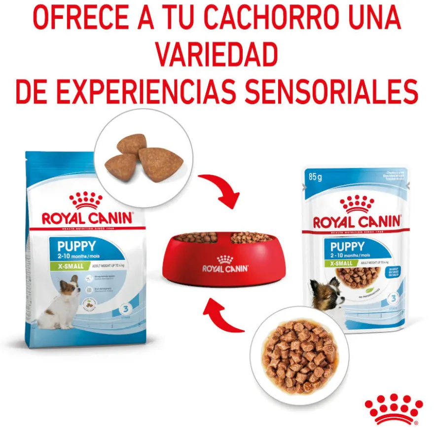 Royal Canin X-Small Puppy Trocitos en Salsa sobre para perros