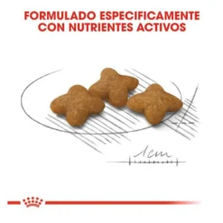 Royal Canin X-Small Sterilised pienso para perros