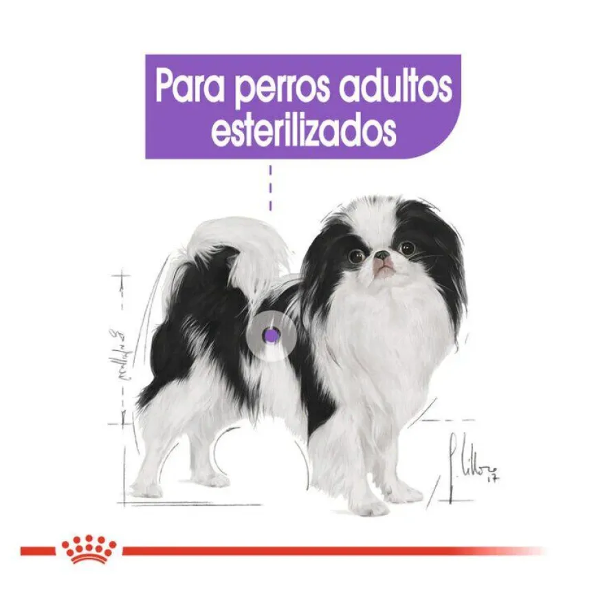 Royal Canin X-Small Sterilised pienso para perros