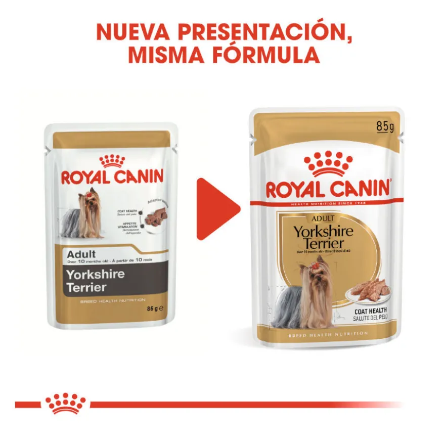 Royal Canin Yorkshire Terrier sobre para perros