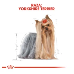 Royal Canin Yorkshire Terrier sobre para perros