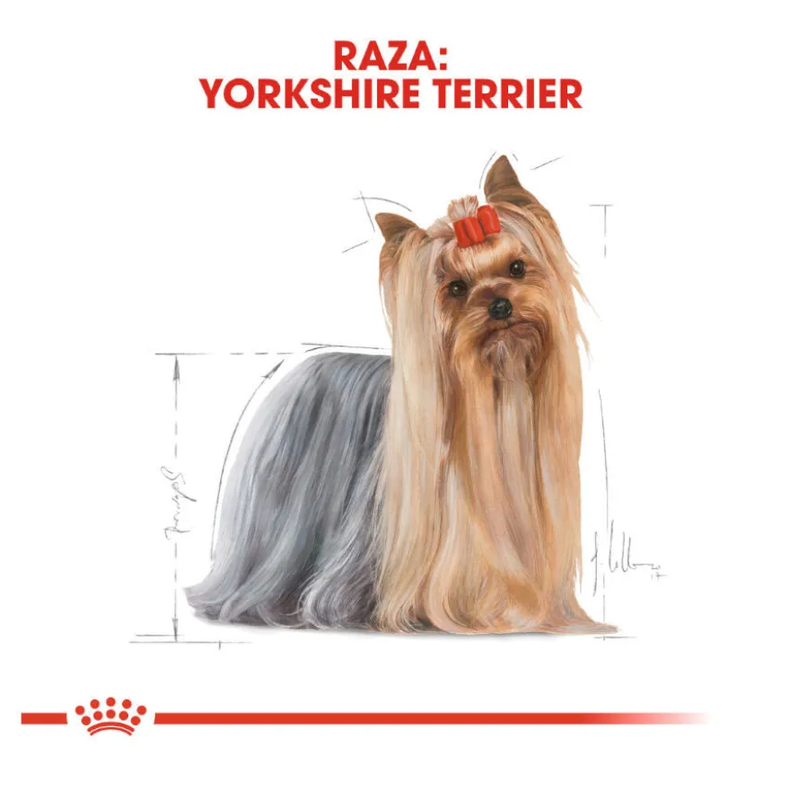Royal Canin Yorkshire Terrier sobre para perros
