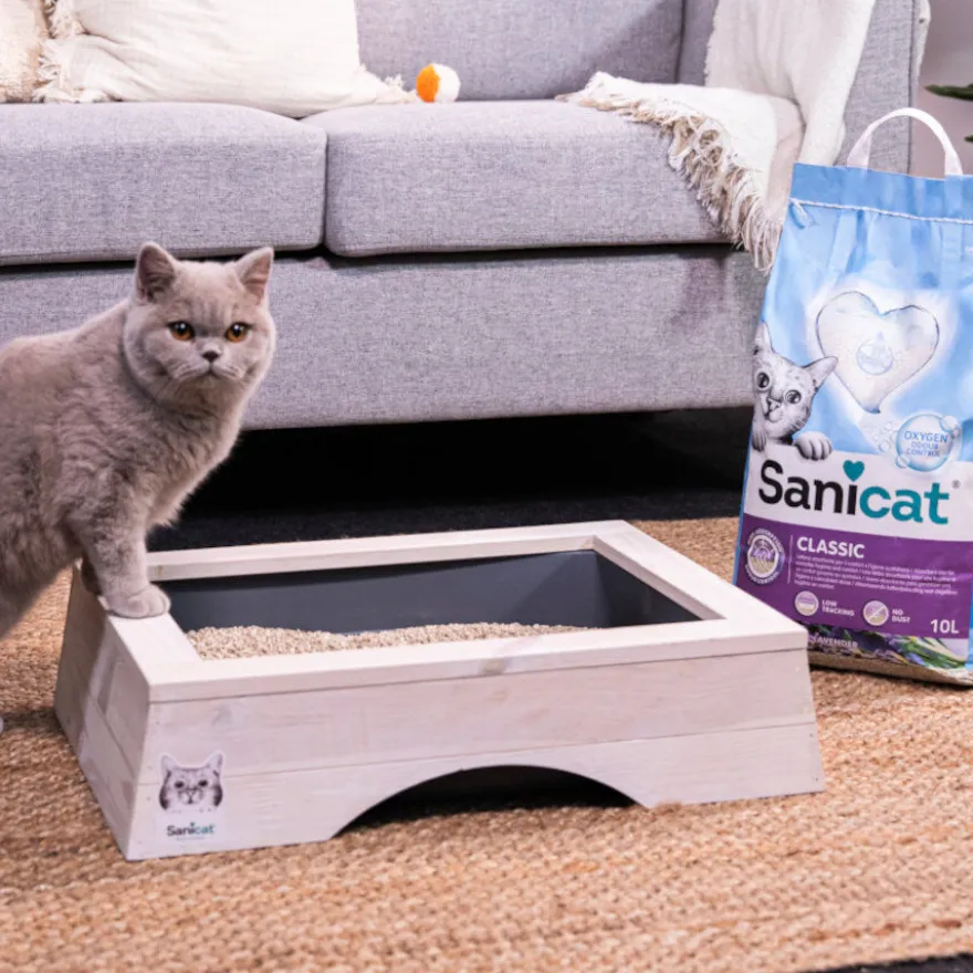 Sanicat Classic Arena Absorbente Lavanda