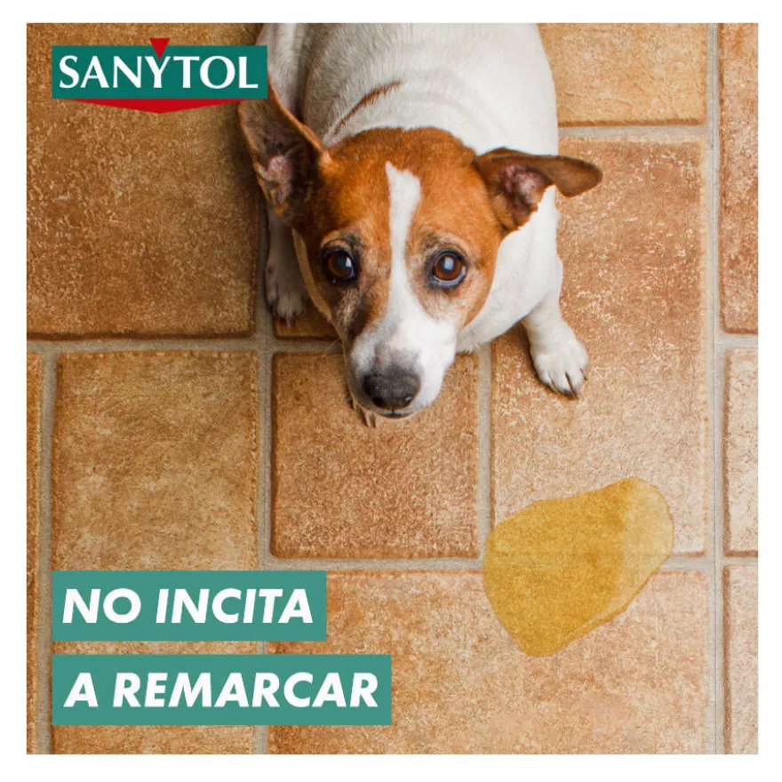 Sanytol Limpiador Desinfectante para hogares