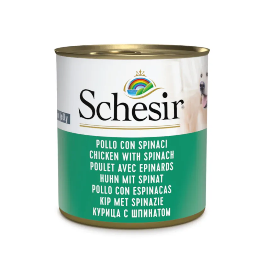 Schesir Adult pollo con espinacas lata para perros