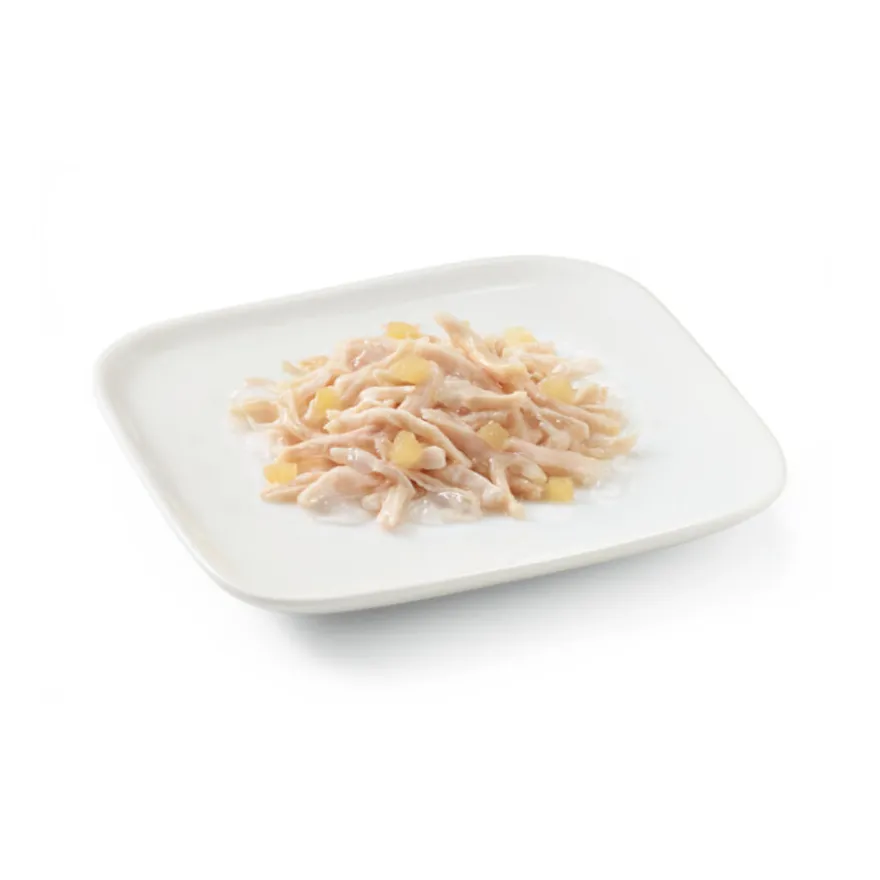 Schesir Adult pollo con manzana lata para perros
