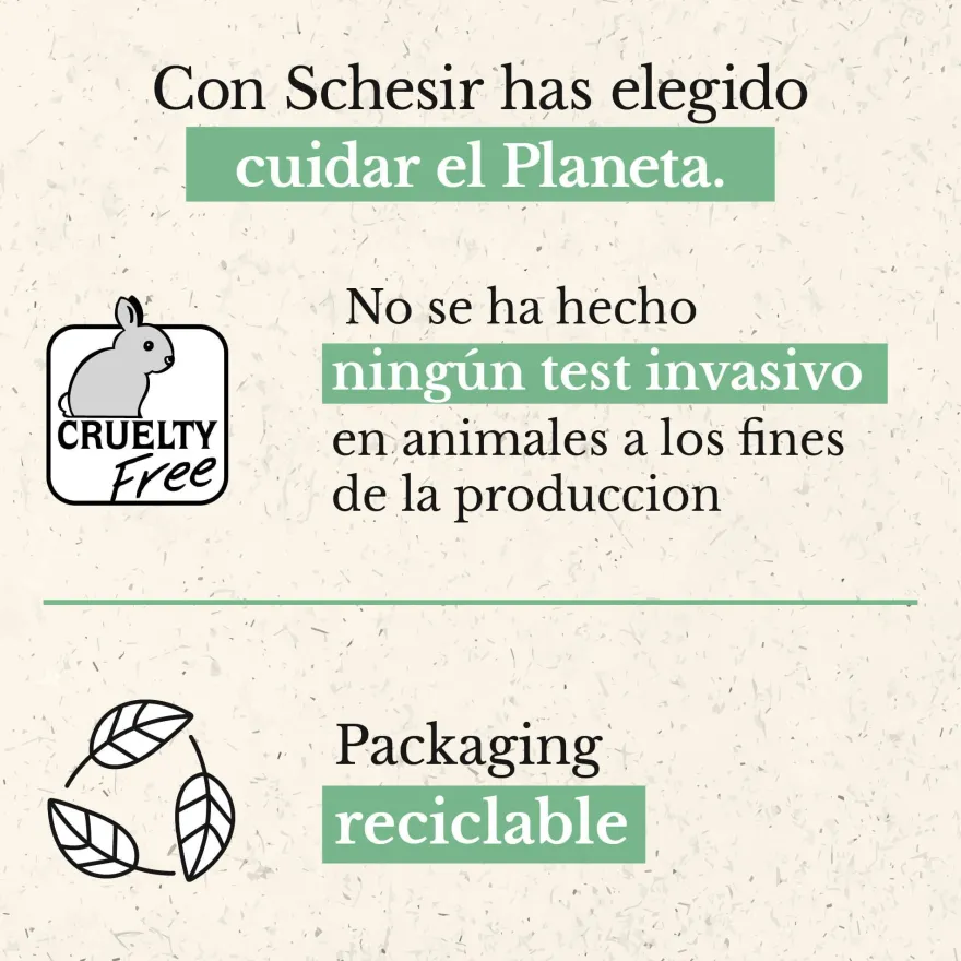 Schesir Kitten pollo con aloe latas para gatos