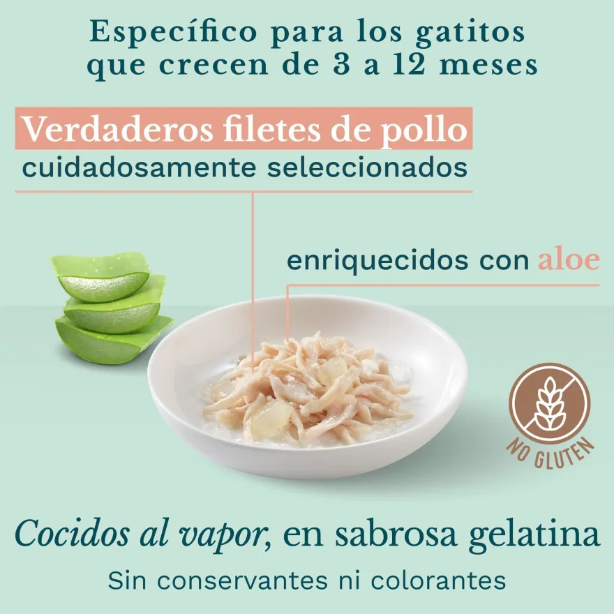 Schesir Kitten pollo con aloe latas para gatos