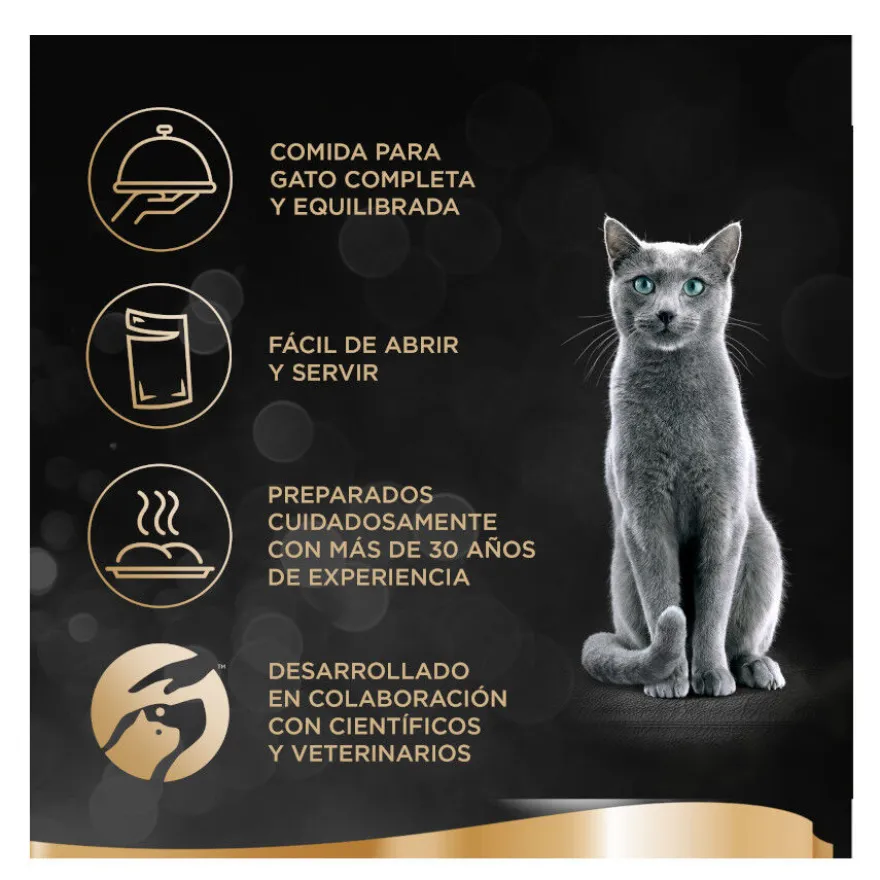 Sheba Finesse Pollo y Salmón en paté tarrinas para gatos