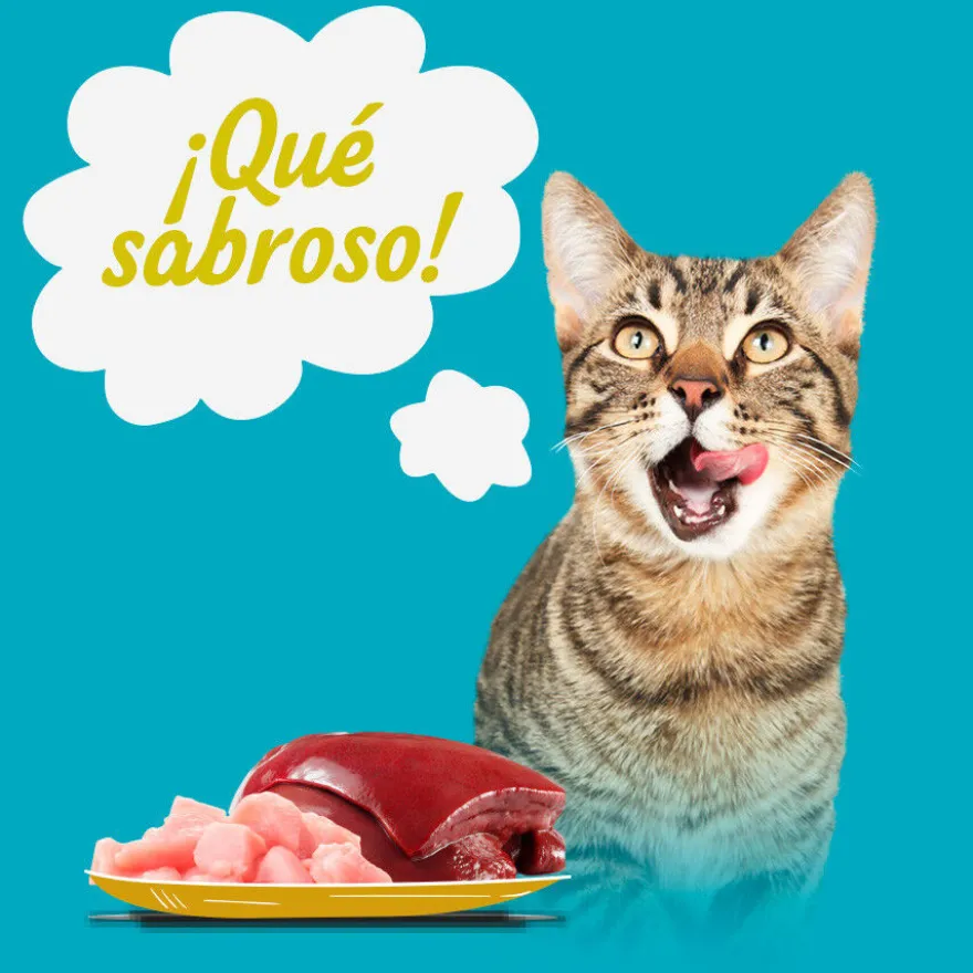 Start Multipack de Carne en Salsa para Gatos