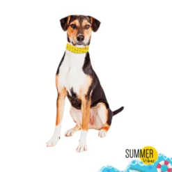 Summer Vibes Bandana refrescante para perros