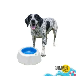 Summer Vibes Bowl Refrescante Comedero y Bebedero para perros