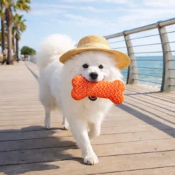 Summer Vibes Hueso Refrescante Naranja Juguete para perros