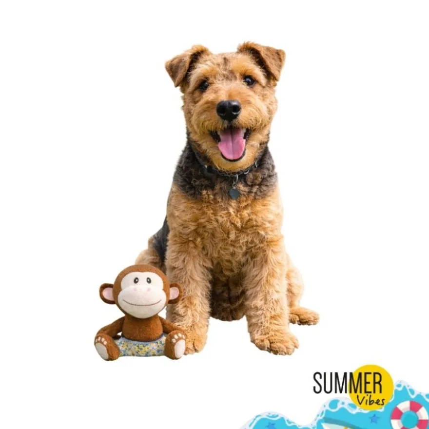 Summer Vibes Mono Dolce Vita Peluche para perros
