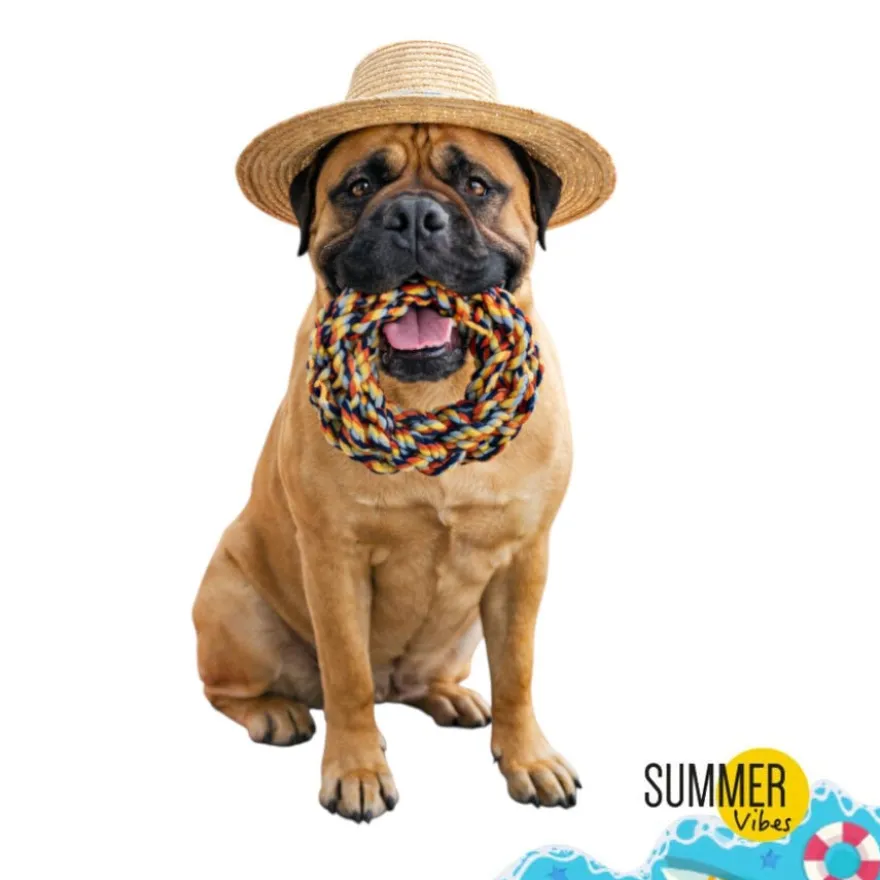 Summer Vibes Mordedor Anillo de Cuerda Juguete para perros