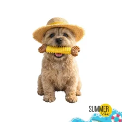 Summer Vibes Mordedor Hueso Juguete para perros