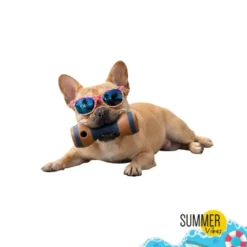 Summer Vibes Mordedor Pesa Juguete para perros