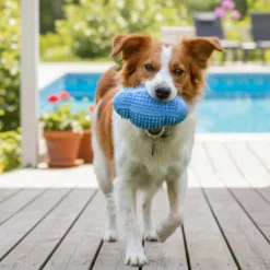 Summer Vibes Pelota Rugby Mordedor Juguete para perros