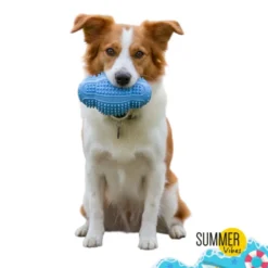 Summer Vibes Pelota Rugby Mordedor Juguete para perros