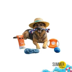 Summer Vibes The Beach Club Set Juguetes para perros