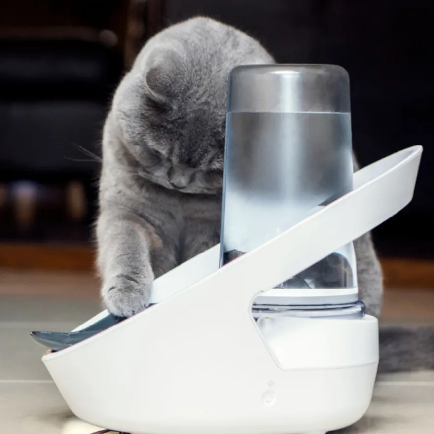 Sure Petcare Felaqua Connect Bebedero Automático para gatos