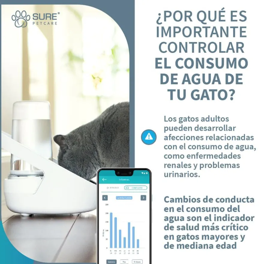 Sure Petcare Felaqua Connect Bebedero Automático para gatos