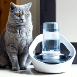 Sure Petcare Felaqua Connect Bebedero Automático para gatos