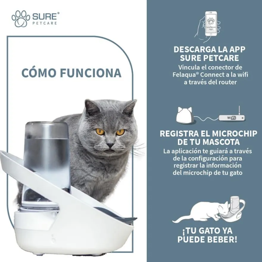 Sure Petcare Felaqua Connect Bebedero Automático para gatos