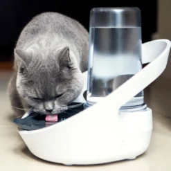 Sure Petcare Felaqua Connect Bebedero Automático para gatos