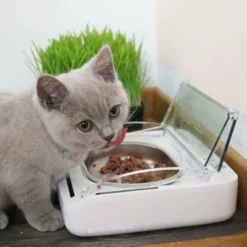 Sure Petcare Surefeed Comedero Automático con Microchip