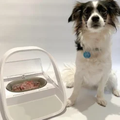 Sure Petcare Surefeed Comedero Automático con Microchip