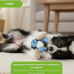 Tootoy! Anillo Mordedor Dental Azul y Marrón para perros