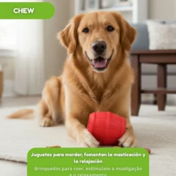 Tootoy! Barril Portagolosinas de Goma Rojo para perros
