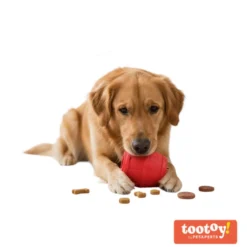 Tootoy! Barril Portagolosinas de Goma Rojo para perros