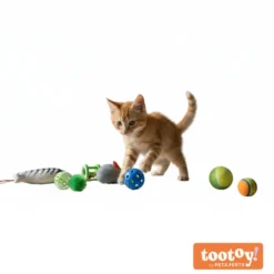 Tootoy! Caja de Juguetes Variados para gatos