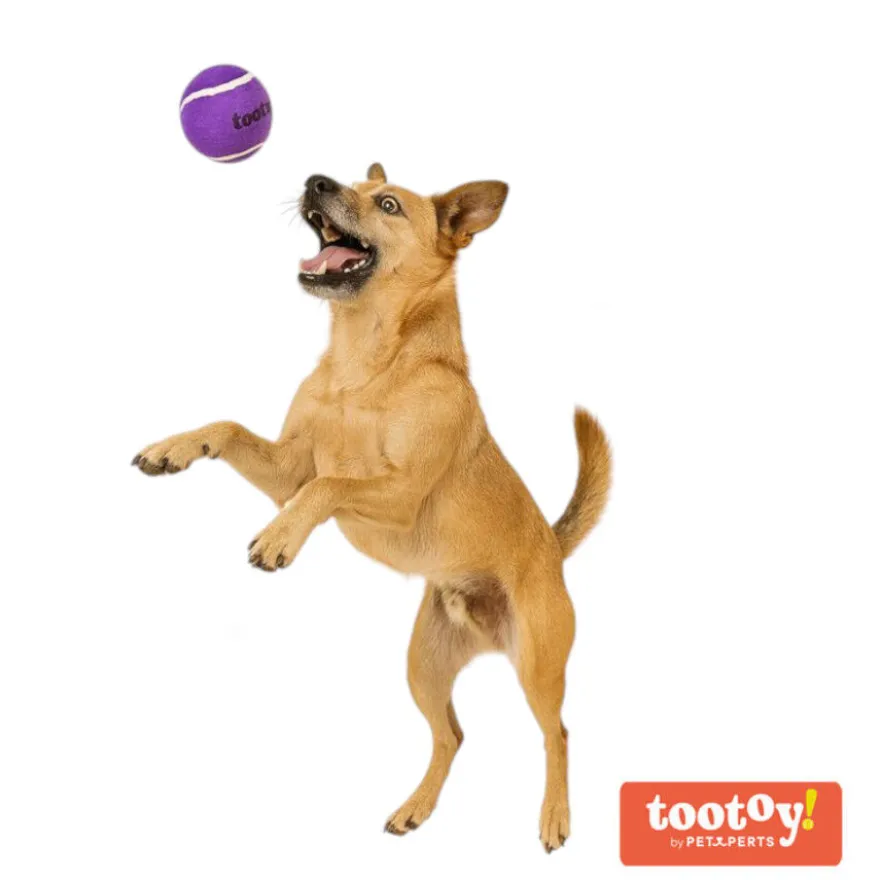 Tootoy! Chase Squeaker Ball Morada pelota de tenis para perros