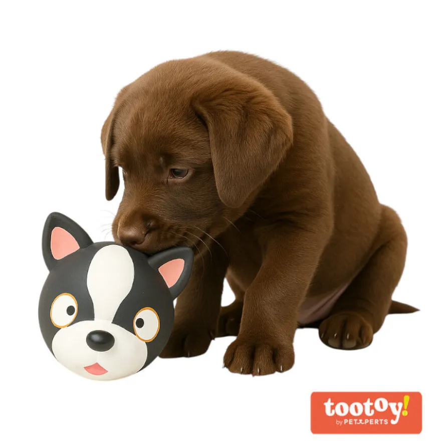 Tootoy! Chew French Bulldog mordedor de látex con sonido para perros